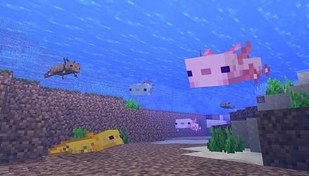 Minecraft Wild Fishes