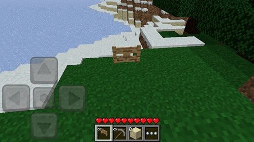 Minecraft Pocket Edition Guide 2021 on the ground
