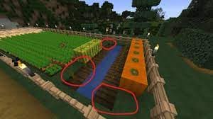 How To Grow Pumpkins in Minecraft